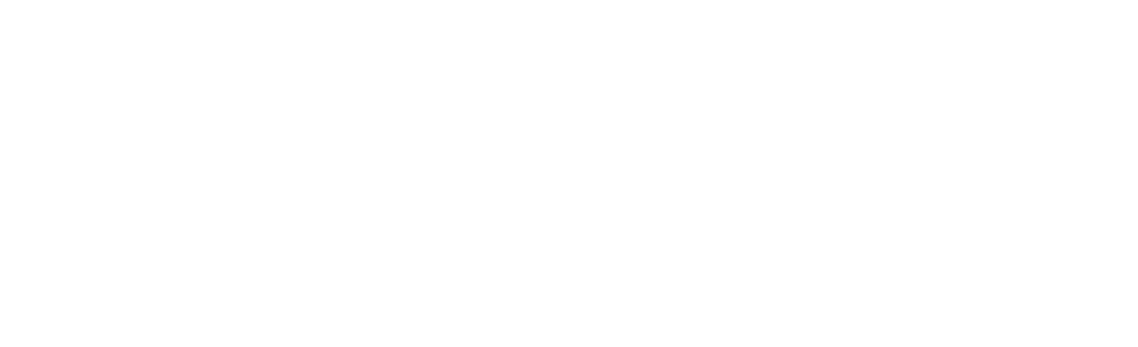 FiberCop